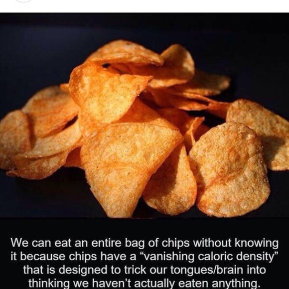 Meet your Posher, Sasha - Picture 6 of 7